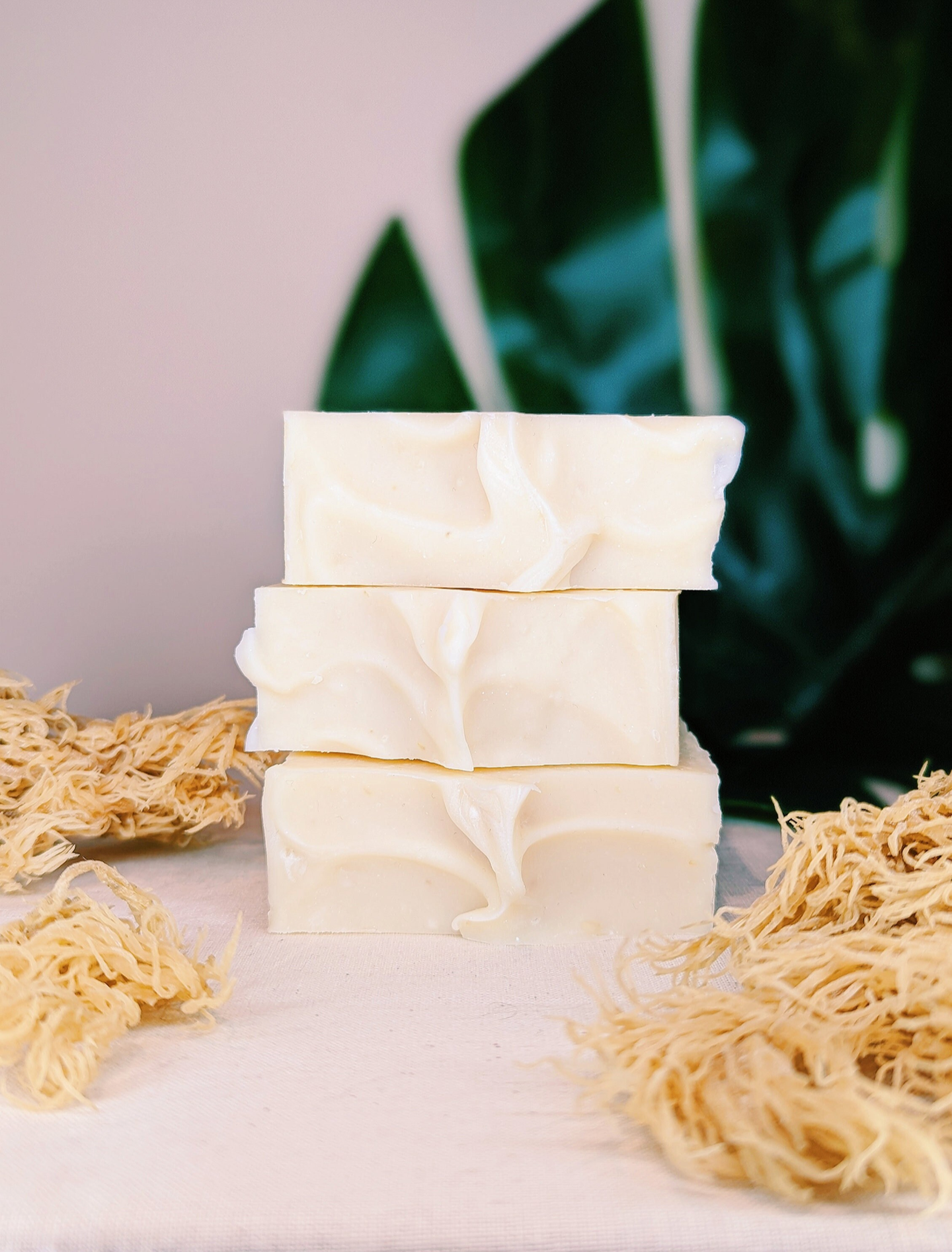 Refresh soap bar made with seamoss and calendula